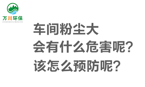 車間粉塵大會(huì)有什么危害呢？該怎么預(yù)防呢？